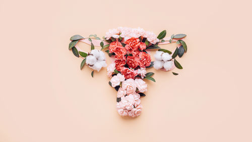 dagelijks bloedverlies overgang dagelijks bloedverlies overgang