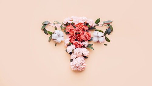 dagelijks bloedverlies overgang dagelijks bloedverlies overgang