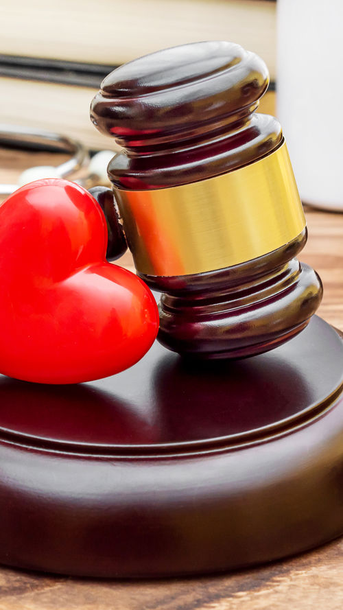 hamer op tafel om je rechten en plichten te bepalen hamer op tafel om je rechten en plichten te bepalen