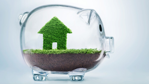 Glazen spaarvarken met huisje van gras Glazen spaarvarken met huisje van gras